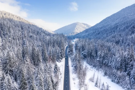 Route traversant une forêt et des montagnes enneigées.